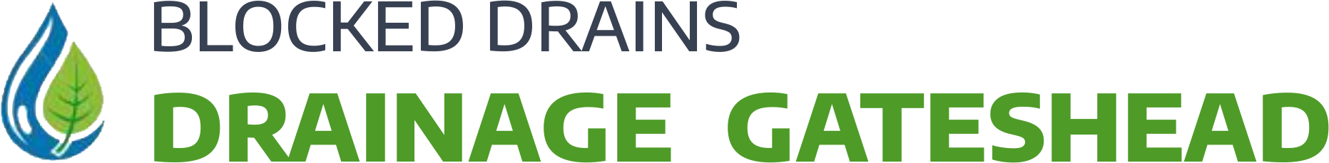 website logo